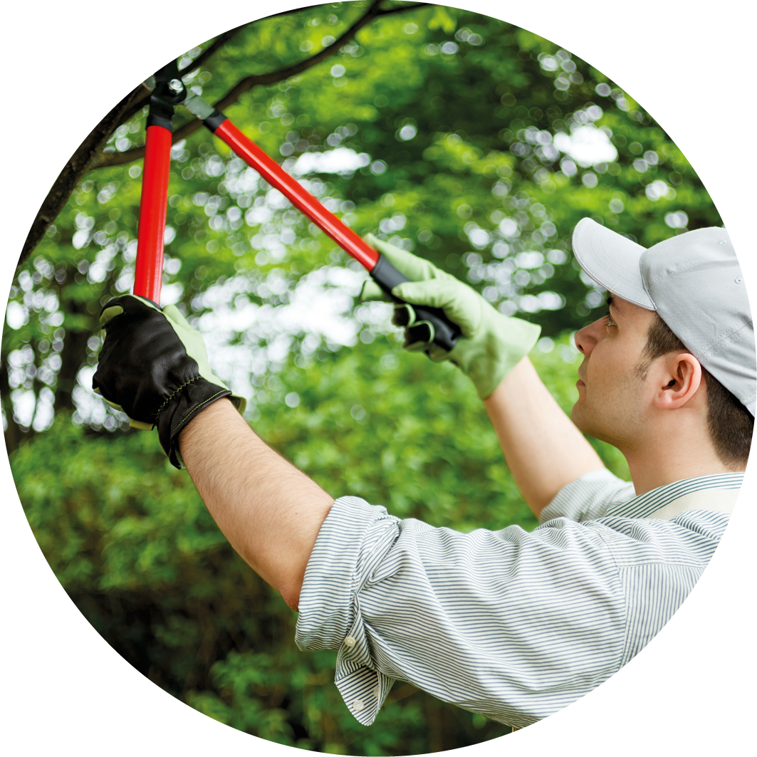 mobile_settore_lavorazioni_agricole_vitinicole_zootecniche_belogic