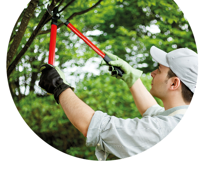 settore_lavorazioni_agricole_vitinicole_zootecniche_belogic